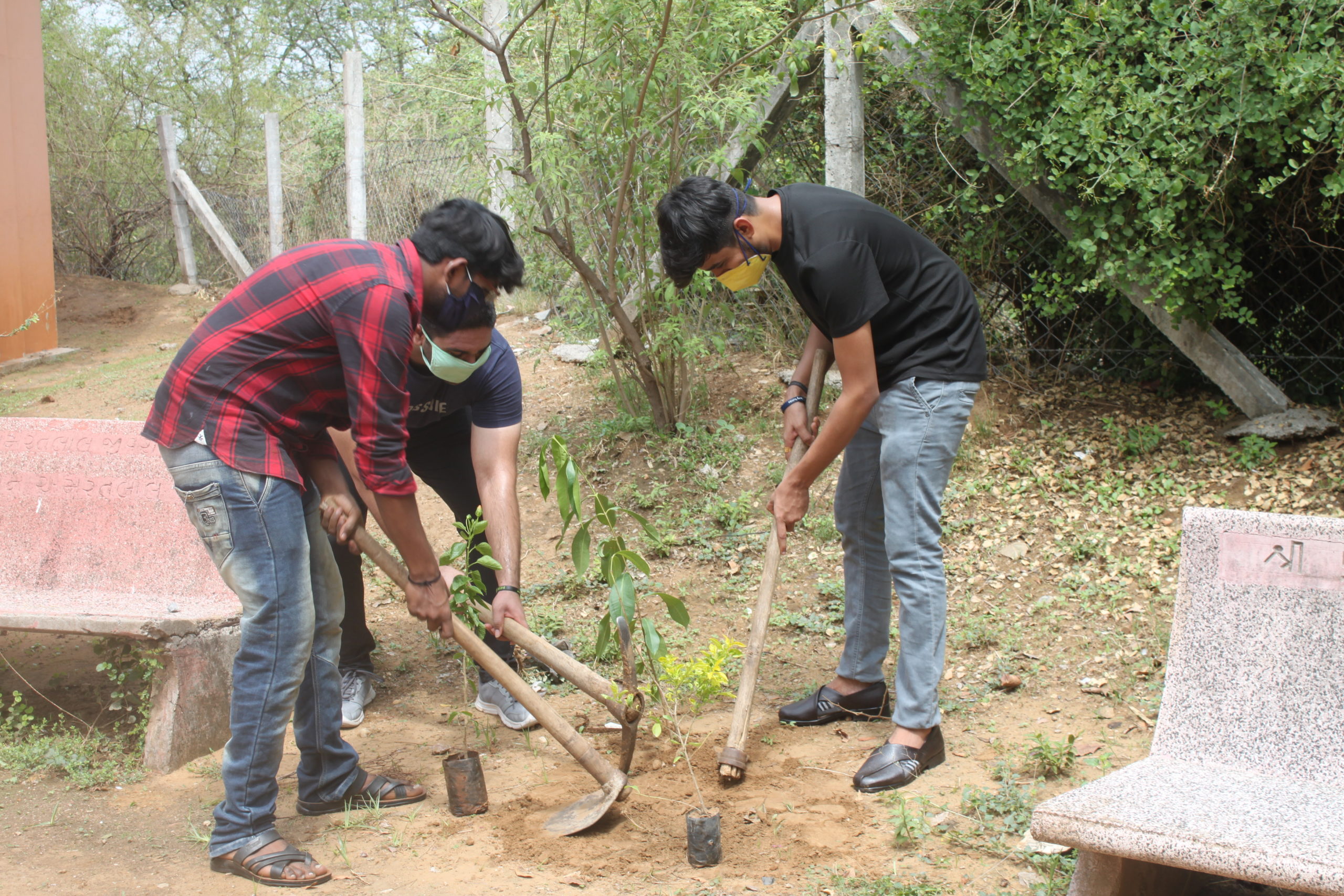 World Environmental Day